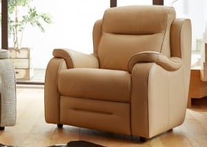Parker Knoll Boston