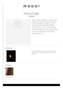 Flock Of Light 10461
