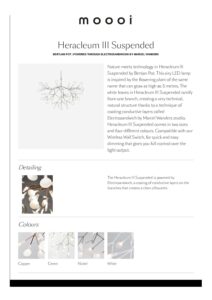 Heracleum III Suspended 20538