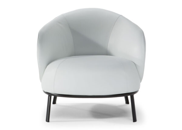 Natuzzi Botanic Chair1