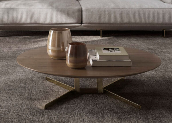 Natuzzi Campus Coffee Table2