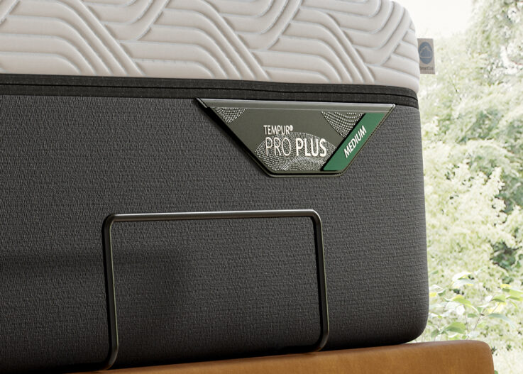 Pro Plus