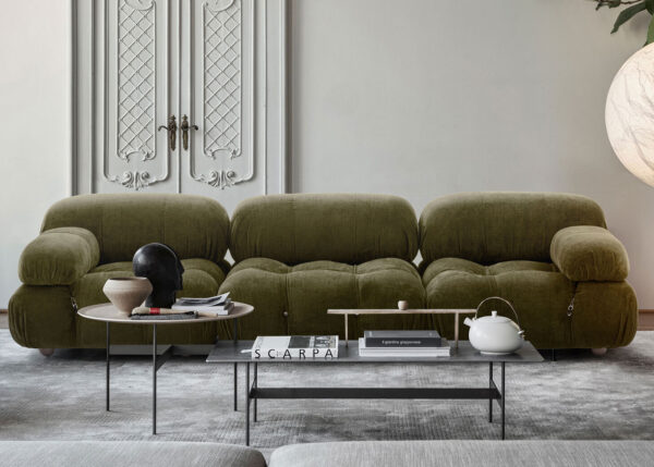 B&B Camaleonda Fig1 B&B Camaleonda Fig1