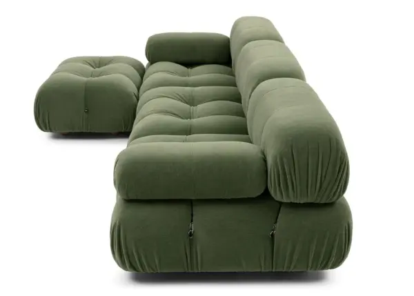 B&B Camaleonda Fig1b