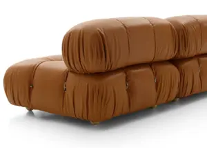 B&B Camaleonda Fig3a