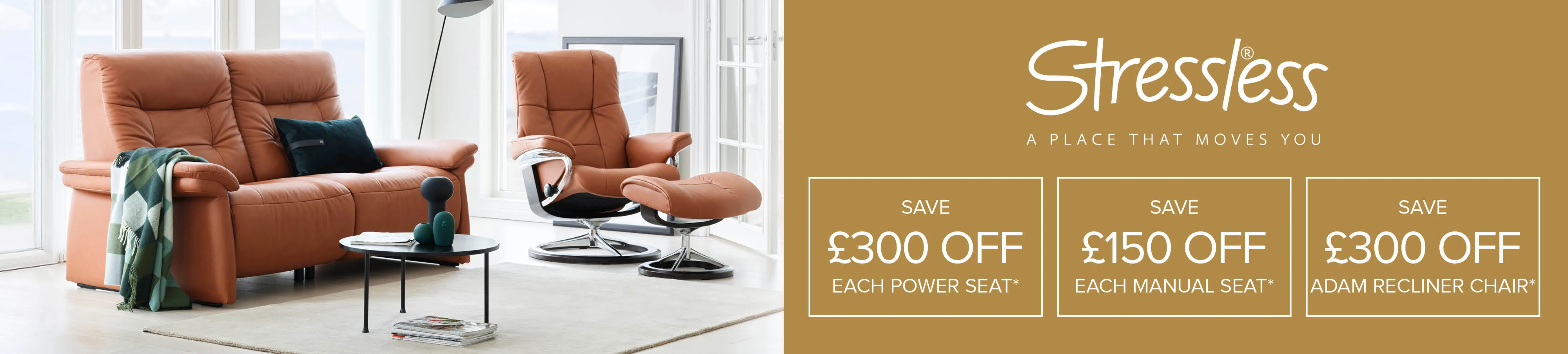 Autumn Offers PC Stressless